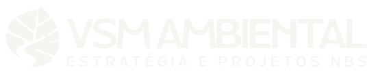 VSM Ambiental
