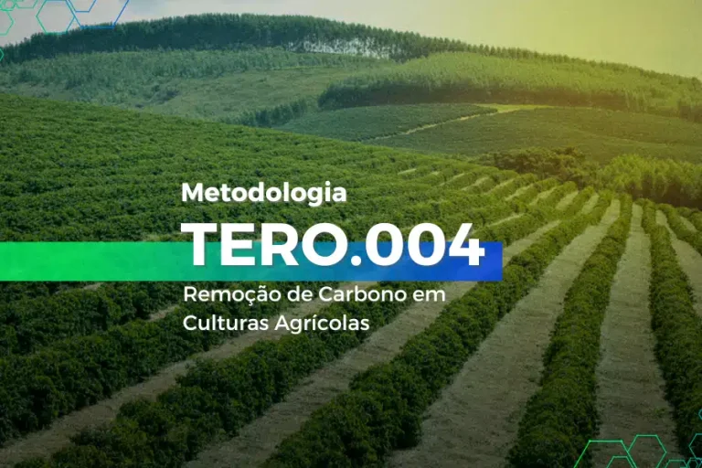 Metodologia AFOLU Tero-004